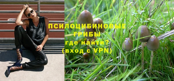 винт Елабуга