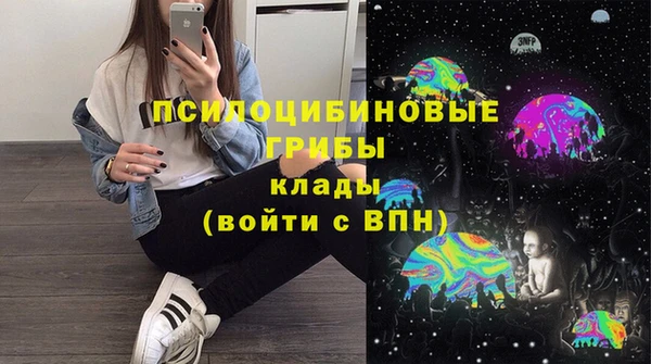 стафф Заволжье