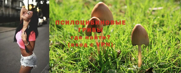 винт Елабуга