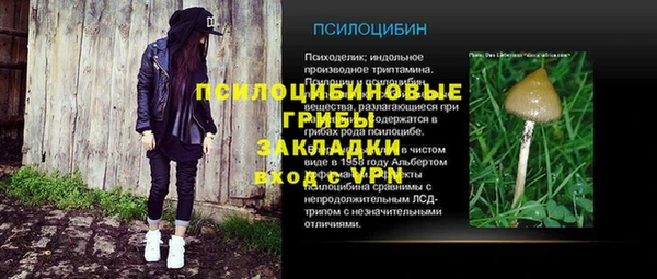 apvp Елизово
