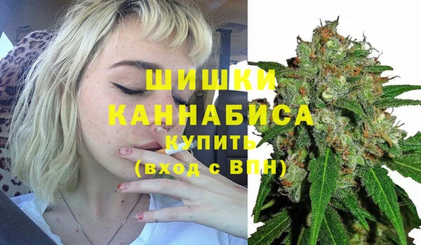 стафф Заволжье