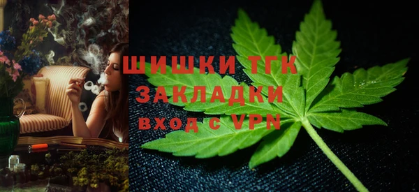 винт Елабуга